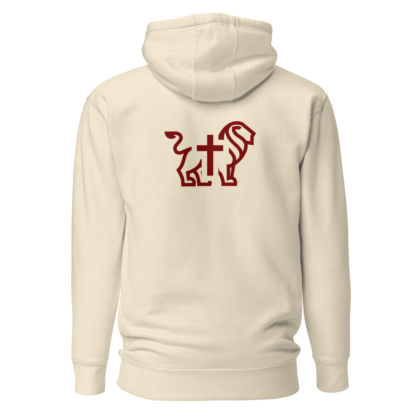 Justified In Christ Yeshua HaMashiach Hoodie | Christian Hoodie