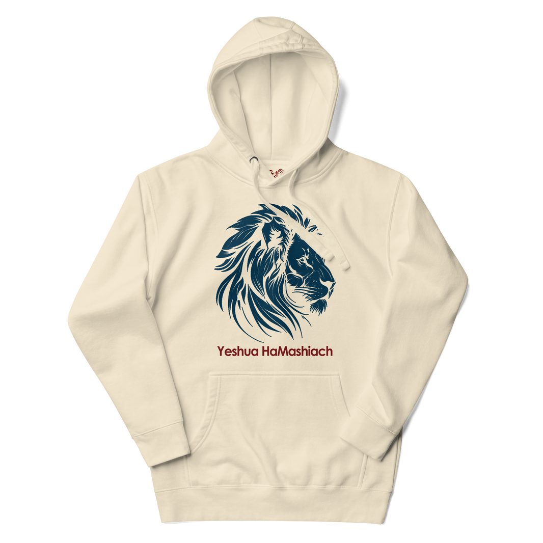 Justified In Christ Yeshua HaMashiach Hoodie | Christian Hoodie