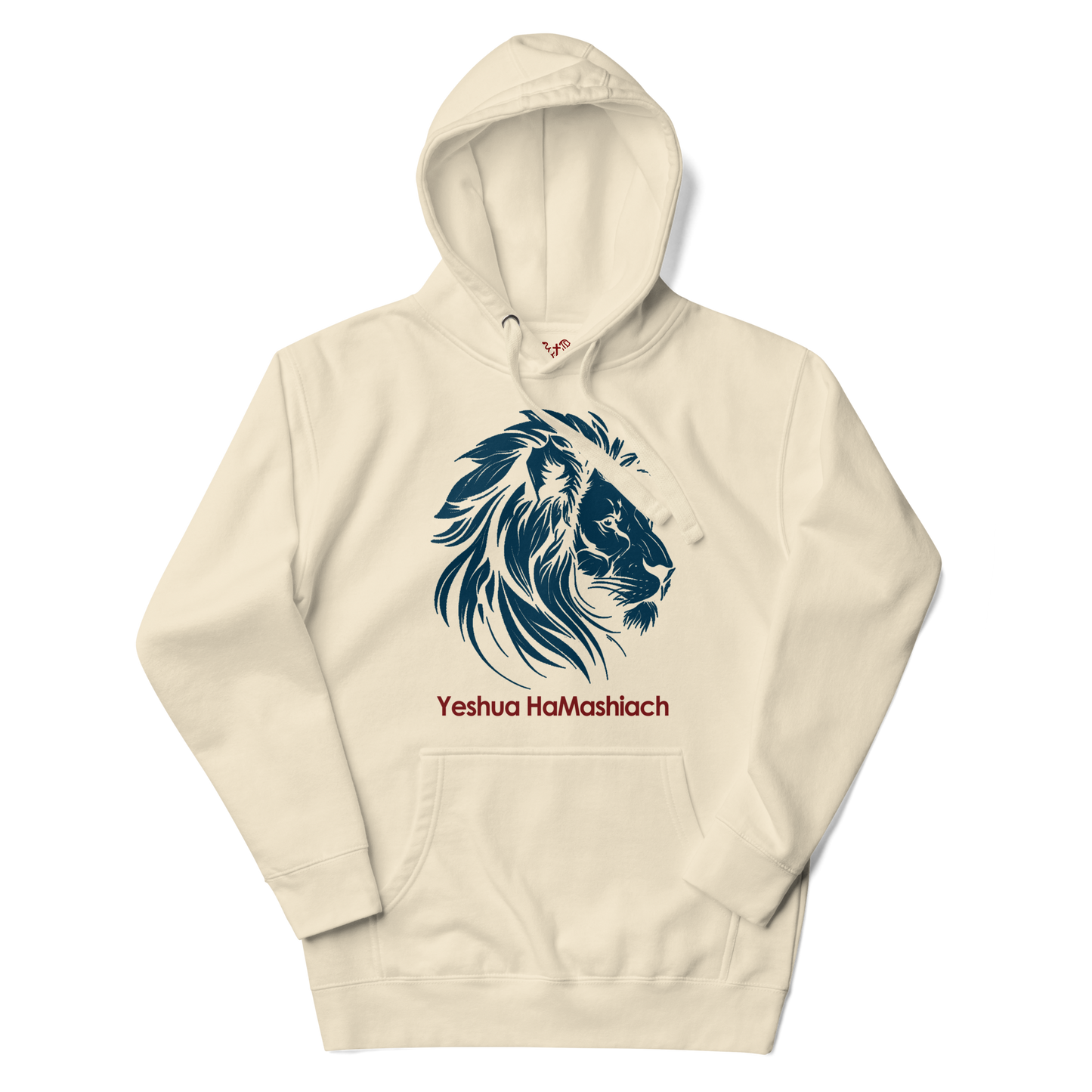 Justified In Christ Yeshua HaMashiach Hoodie | Christian Hoodie