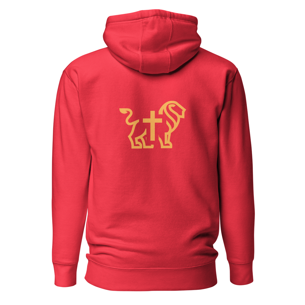 Justified In Christ Faith Hoodie | Hebrews 11:1 Christian Hoodie
