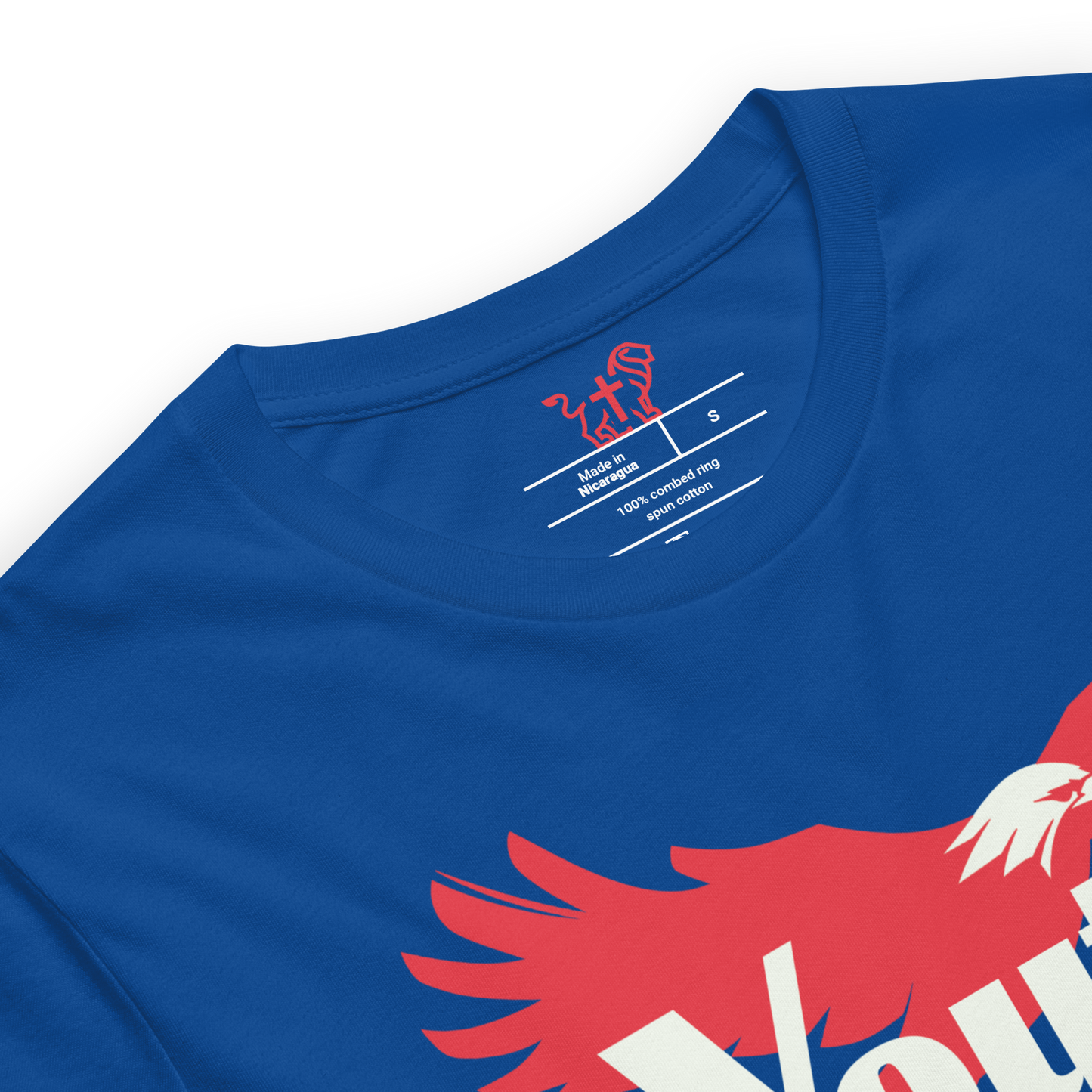 Justified In Christ Youth Renewed T-Shirt | Psalm 103:5 Christian Tee